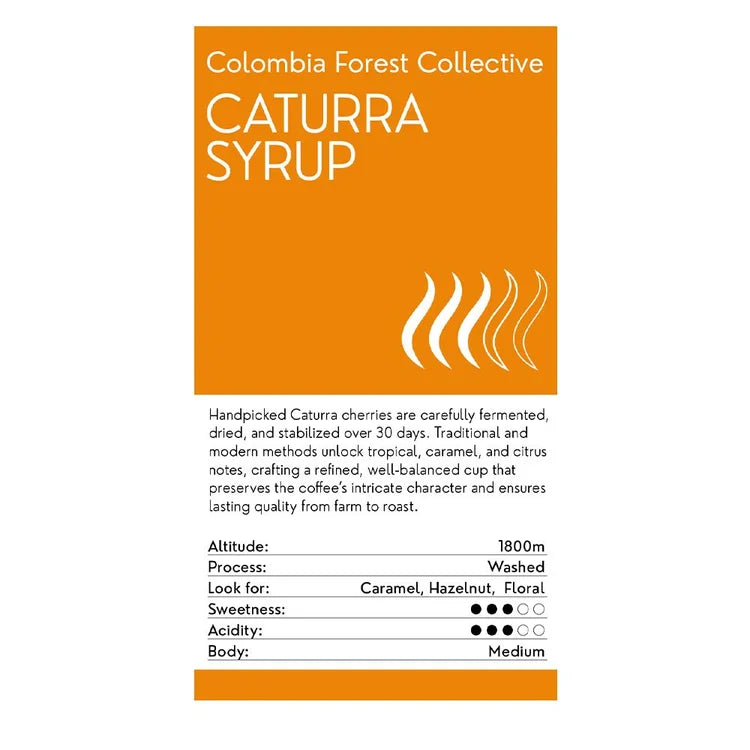 Colombia Forest Collective Caturra Syrup
