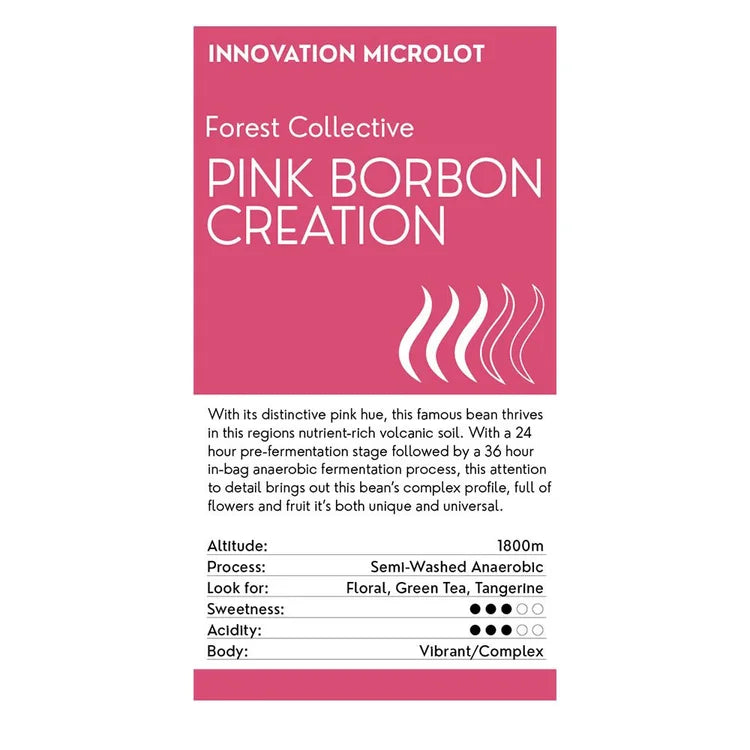 Pink Borbon Creation Innovation Microlot